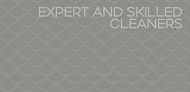 Expert and Skilled Cleaners | Home Cleaners Caringbah